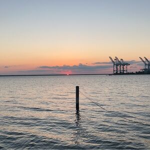 Meet your Posher, George